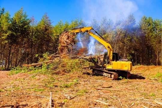 Acreage clearing and access roads