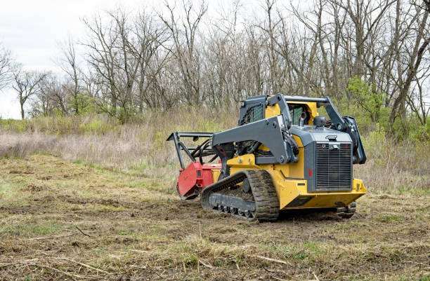 Tree, Brush & Vegetation Removal in Citrus County, Florida
